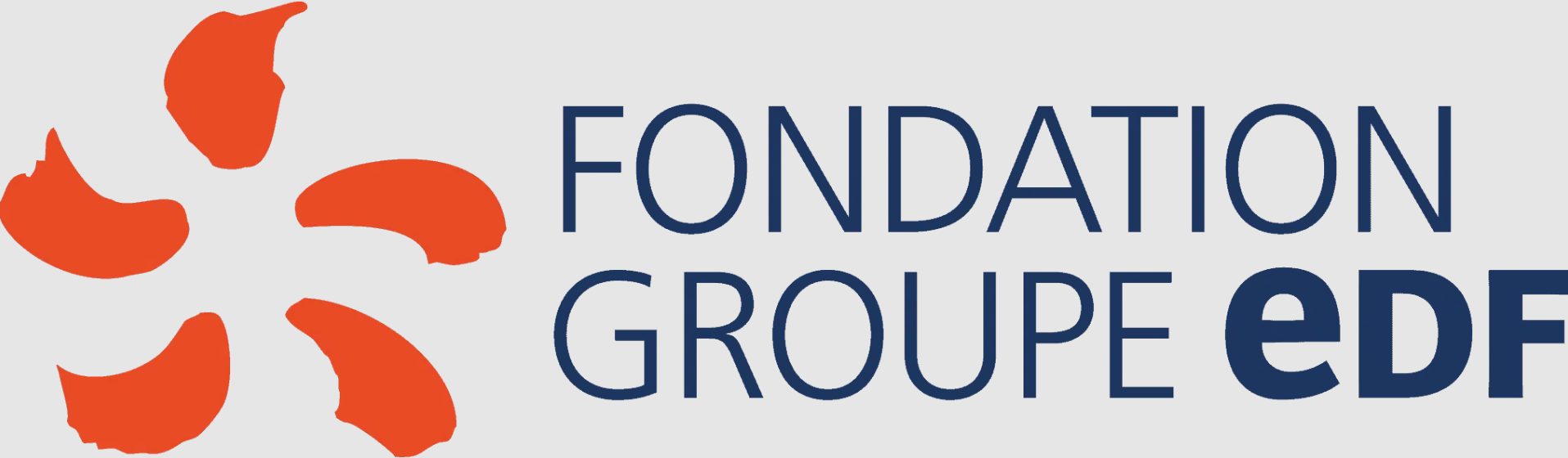 fondation-groupe-edf